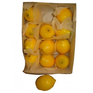 Citron artificiel 80mm x12...